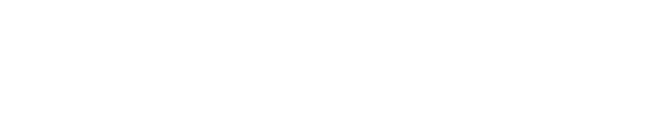 Everi Logo