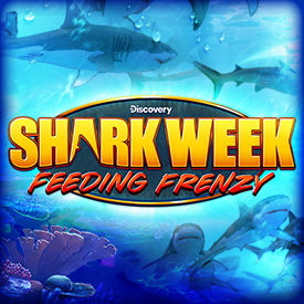 Shark Week Feeding Frenzy